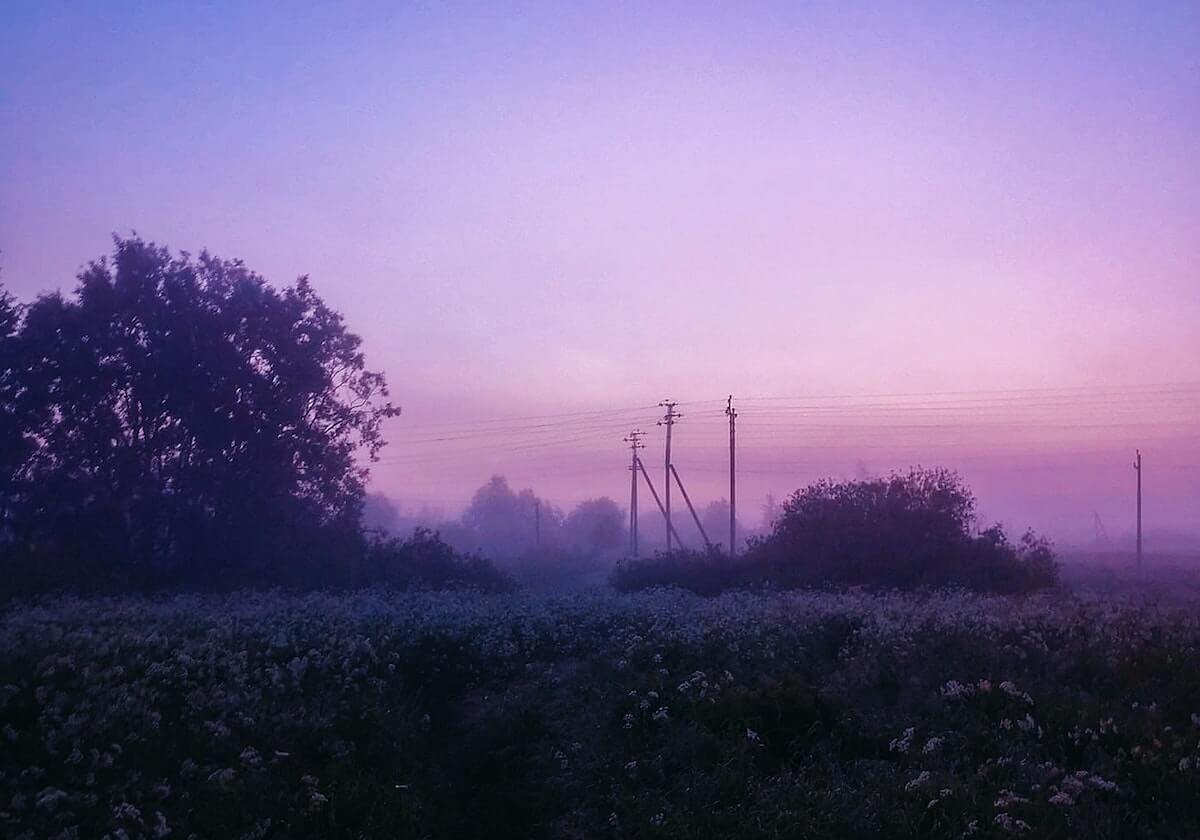 开云官网-替补登场又伤退！队报：登贝莱退出本期法国国家队
